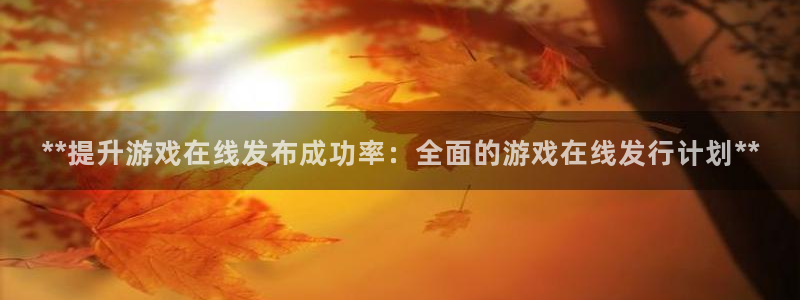 新城平台总代