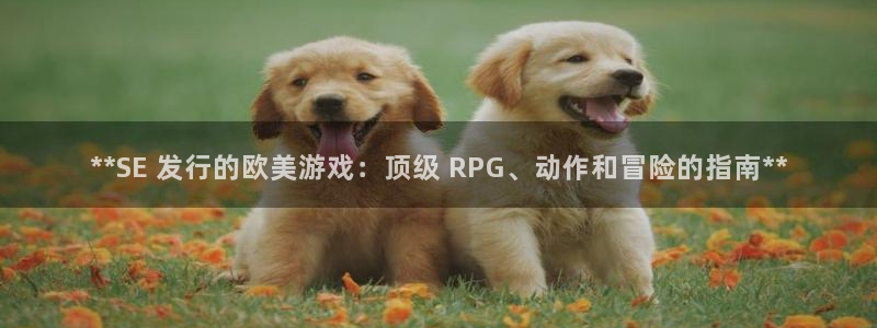 新城平台注册流程视频