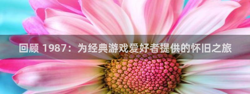 新城平台线路登录不上去