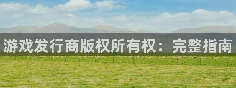 新城平台网址