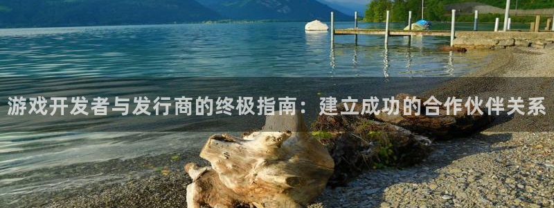 新城平台注册公司流程图
