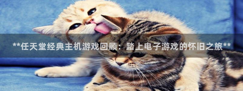 新城平台注册