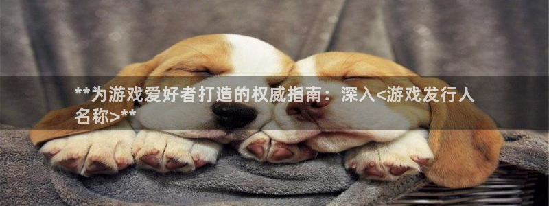 新城平台平台