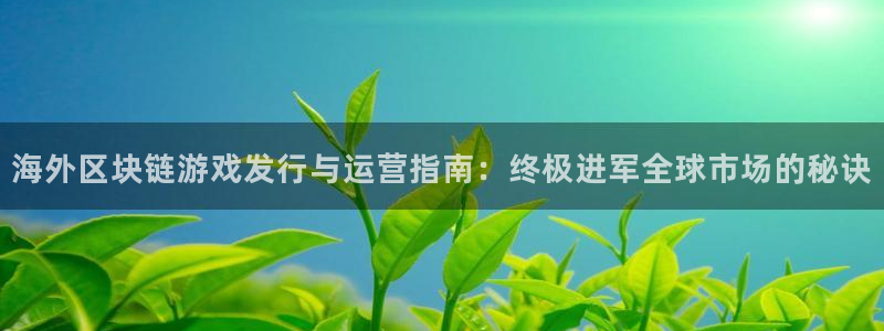 新城平台注册流程视频