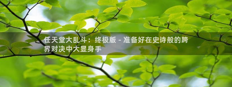 新城平台负责人是谁
