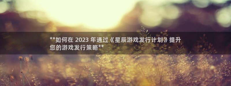 新城平台是干嘛的