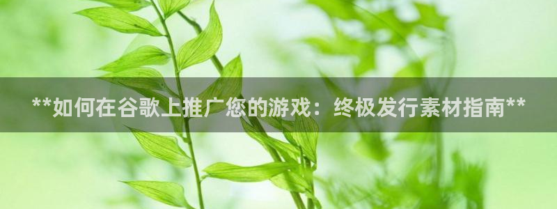 新城平台注册