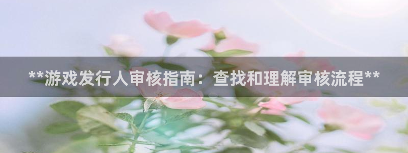 新城平台线路登录不上去