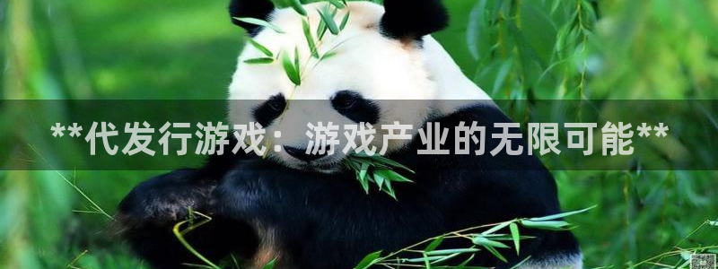 新城平台登录密码忘了怎么办