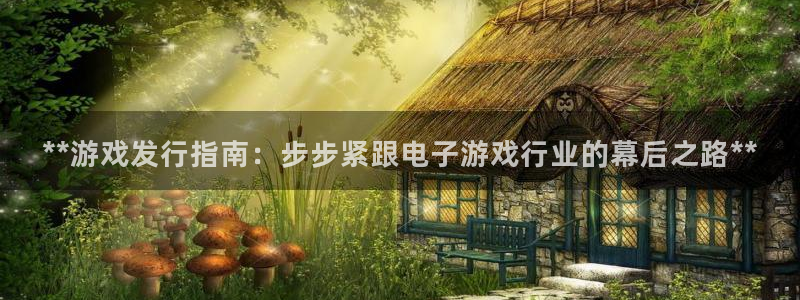 新城平台开户