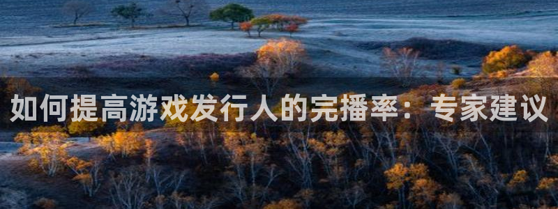 新城平台某7O777