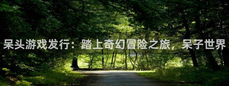新城平台是干嘛的公司啊