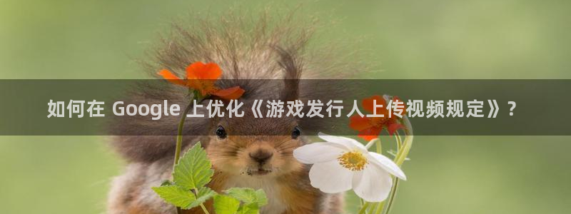 新城平台注册网址是什么