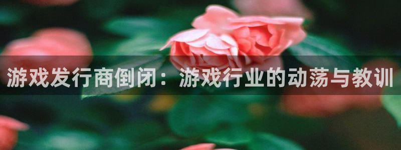 新城平台线路登录不上去