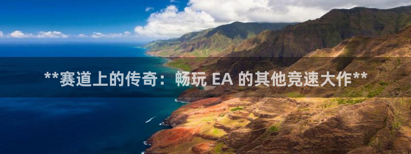 新城平台是干嘛的公司