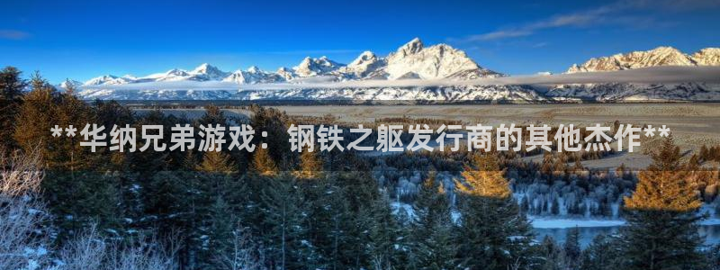 新城平台是正规平台吗
