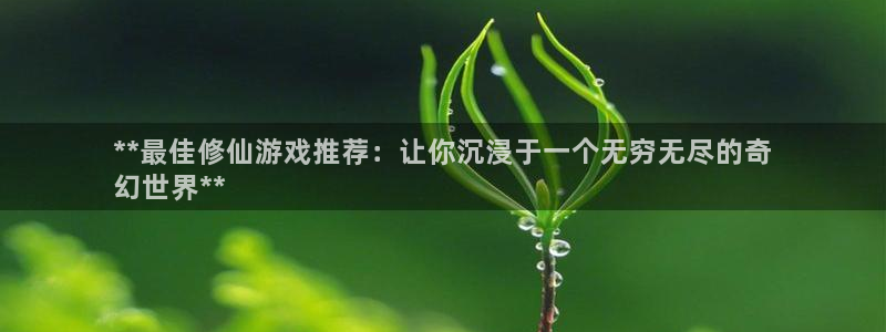 新城平台是干嘛的