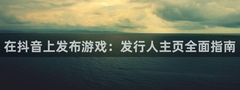 新城平台登录入口官网首页