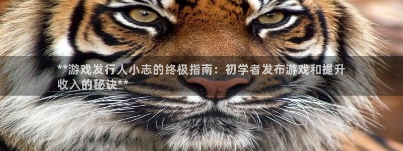新城平台官网注册流程