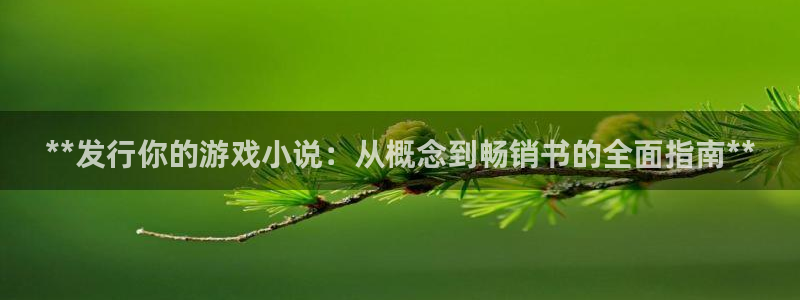 新城平台公司