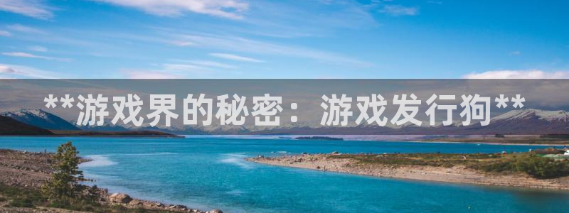 新城平台代理