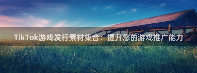 新城平台登录入口官网网址
