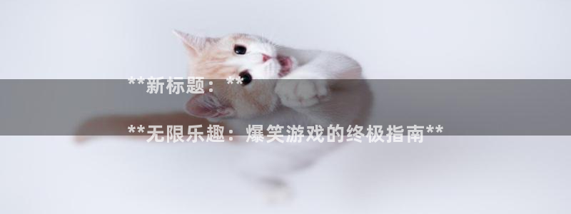 新城平台平台最新活动信息