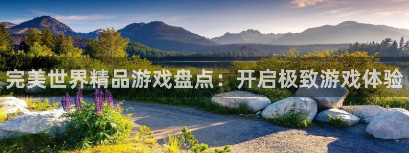 新城平台登录入口官网首页