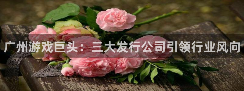 新城平台注册资金多少