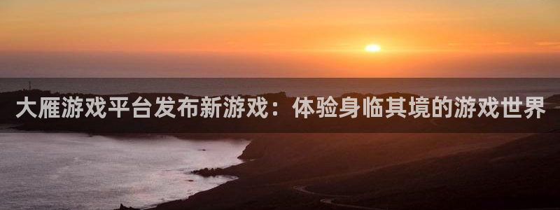 新城平台怎么样