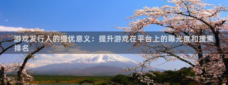 新城平台注册公司流程视频
