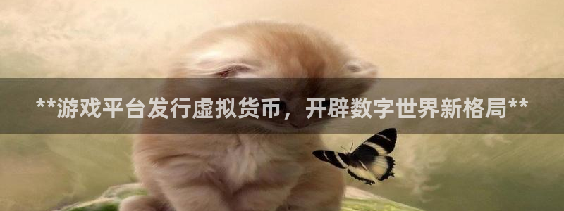 新城平台代理电话
