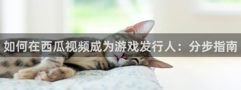 新城平台登录
