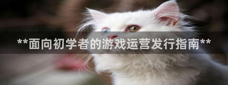 新城平台江7O777