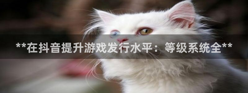 新城平台记7O777