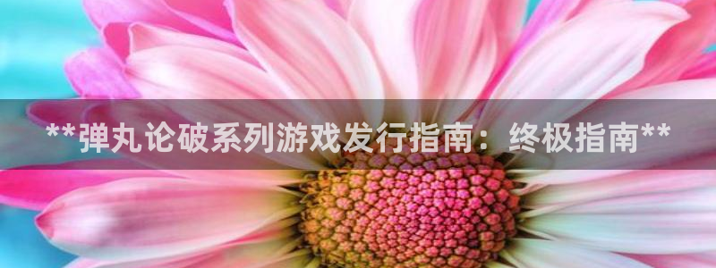 新城平台登陆