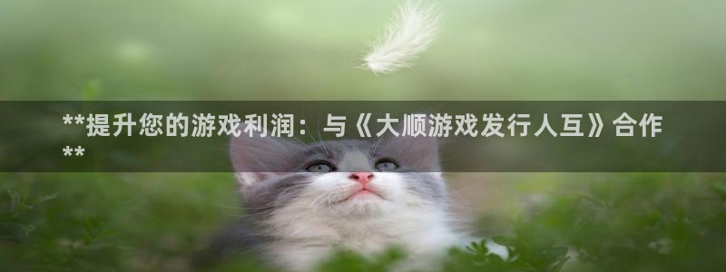 新城平台登录入口官网下载