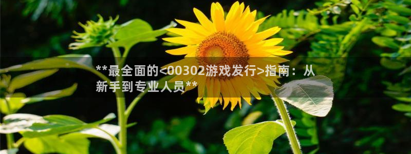 新城平台公司是国企吗：**最全面的<00302游戏发行>指南：从
新手到专业人员**