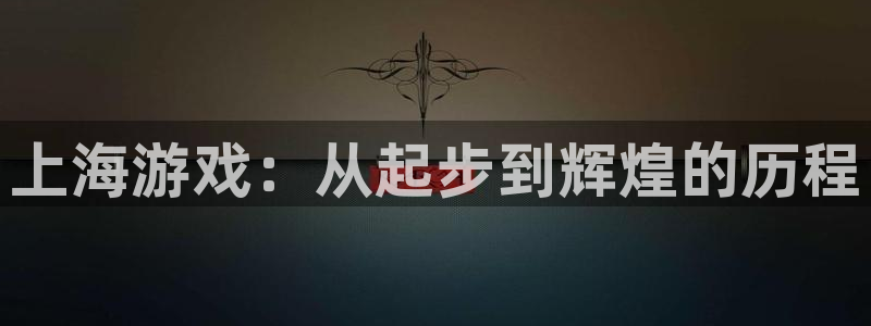 新城平台登录入口网站