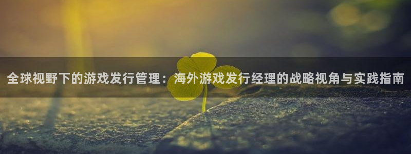 新城平台负责人是谁
