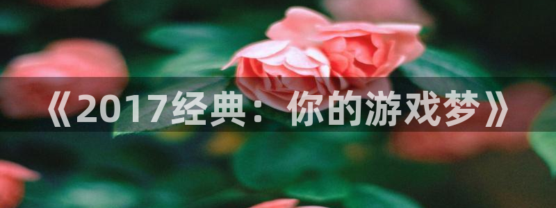 新城平台注册流程视频