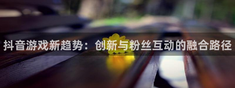 新城平台注册公司流程
