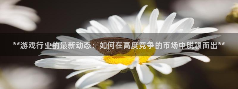 新城平台负责人电话
