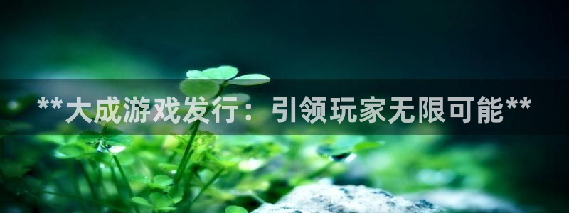 新城平台官网：**大成游戏发行：引领玩家无限可能**