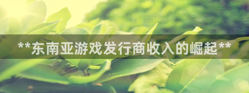 新城平台登录入口官网查询：**东南亚游戏发行商收入的崛起**