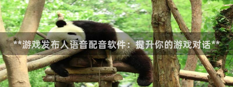 新城平台登录入口官网下载app：**游戏发布人语音配音软件：提升你的游戏对话**