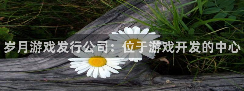新城平台新注册：岁月游戏发行公司：位于游戏开发的中心