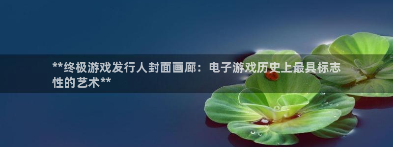 新城平台登录入口官网查询系统：**终极游戏发行人封面画廊：电子游戏历史上最具标志
性的艺术**