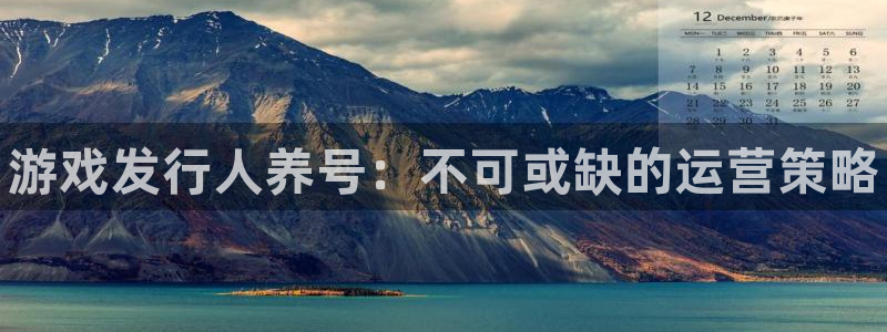 新城平台代理注册：游戏发行人养号：不可或缺的运营策略