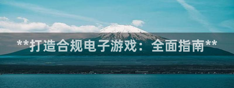 新城平台登录入口网址：**打造合规电子游戏：全面指南**